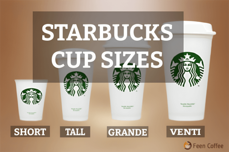 Different Types of Starbucks Cup Sizes