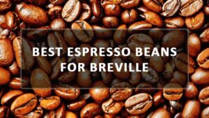 best espresso beans for breville