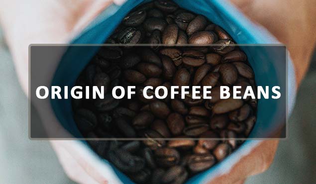 origin of coffee beans