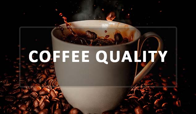 coffee quality