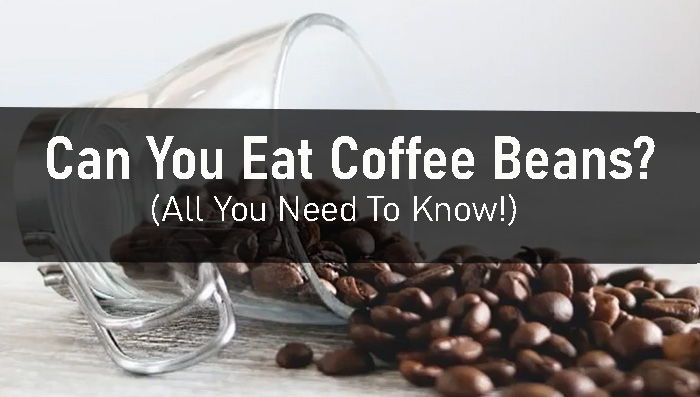Can You Eat Coffee Beans? (All You Need To know!)