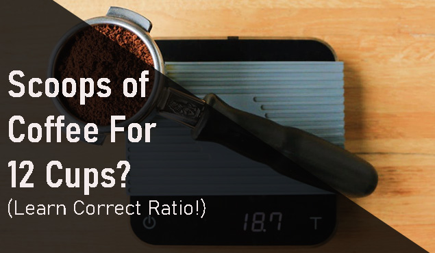 How Many Scoops of Coffee For 12 Cups? Learn Correct Ratio!